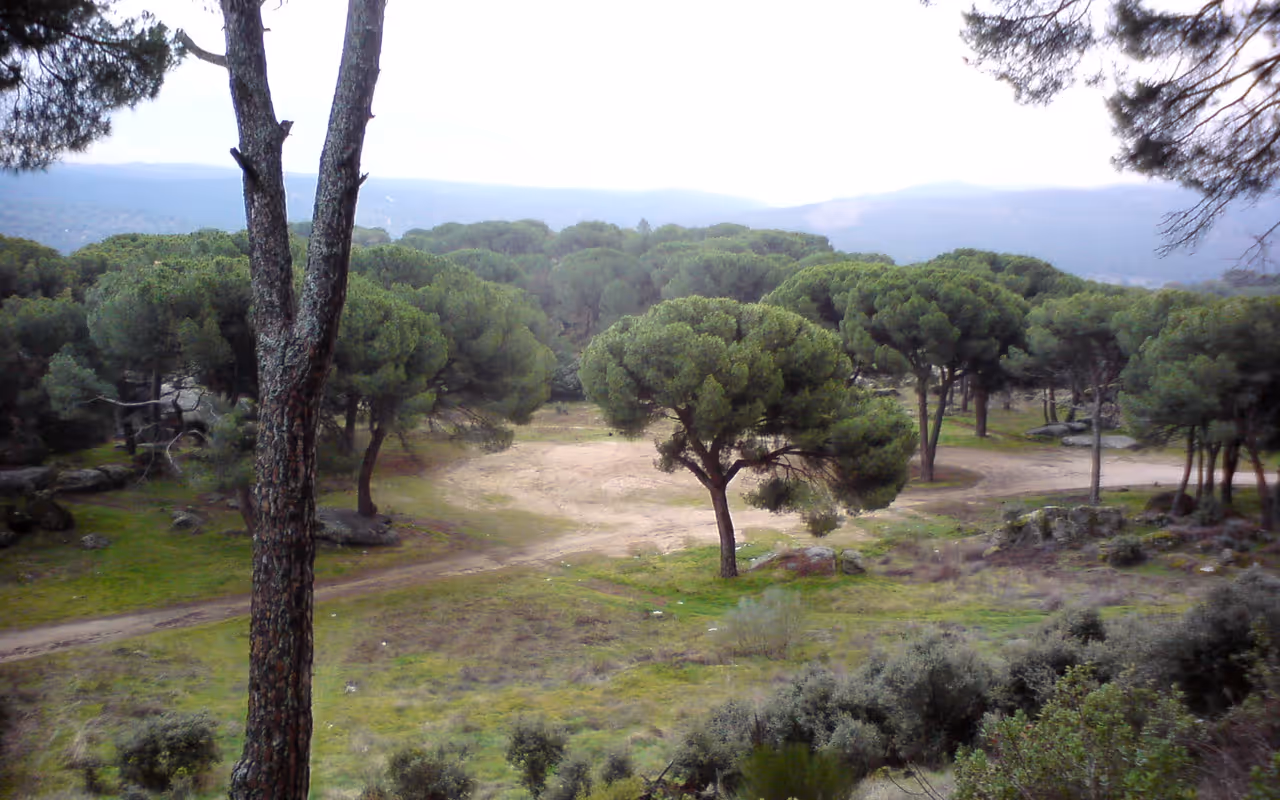 Embalse de San Juan — Stausee bei Madrid